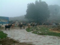 Man sollte die andalusischen Sierras - hier bei Zafarraya - nicht unterschtzen...
